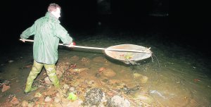 OCT-14 ANGULAS-2.jpg