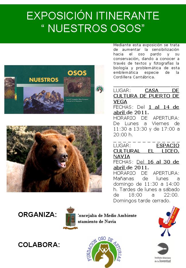 osos