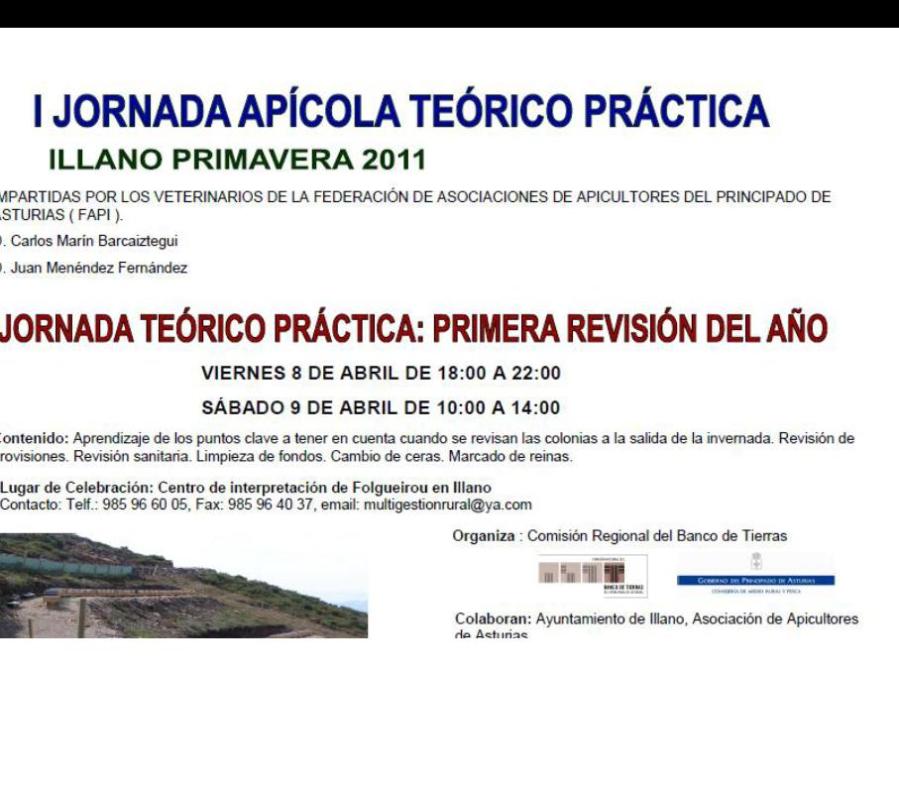 illano jornada apicola