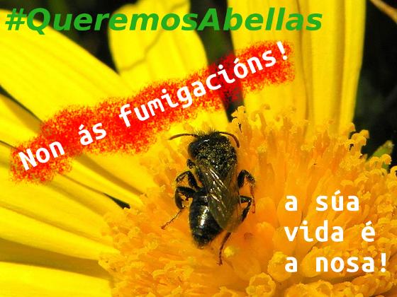 fumigaciones