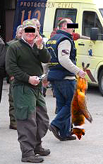 cazalicenciasilegales