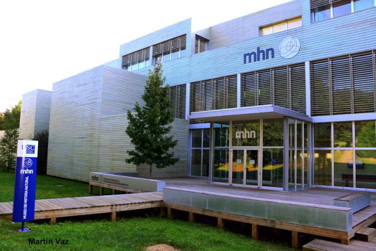 MUSEO con logo reducida