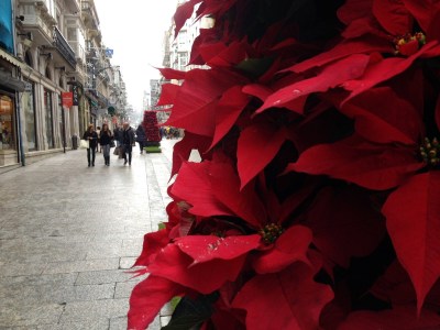 by  E.V.Pita.... Spain, Galician Christmas 2014 /  por E.V.Pita Navidad 2014 en Galicia / por E.V.Pita .... O nadal galego 2014 ...  http://picturesplanetbyevpita.blogspot.com/2014/12/spain-galician-christmas-navidad-en.html