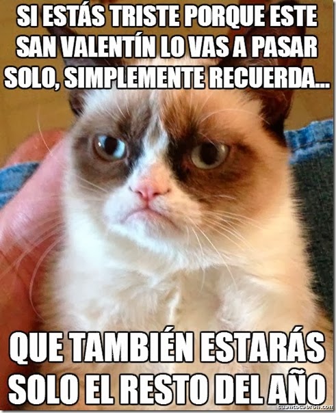 Imagen graciosa San valentín