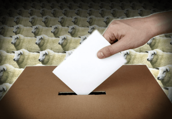 elecciones en el pais de los borregos_00000