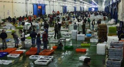 galiciapescadofresco