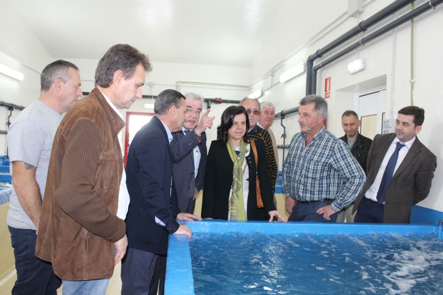 2015_11_20 Viista consejera a la rula de Luanco 3