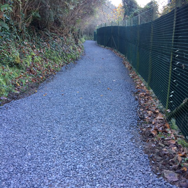 2016_01_06 Mejora del camino desde Belmonte al cercado del lobo