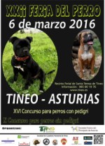 feria perro Tineo
