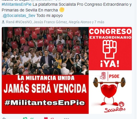 sevillaplataformamilitantes3
