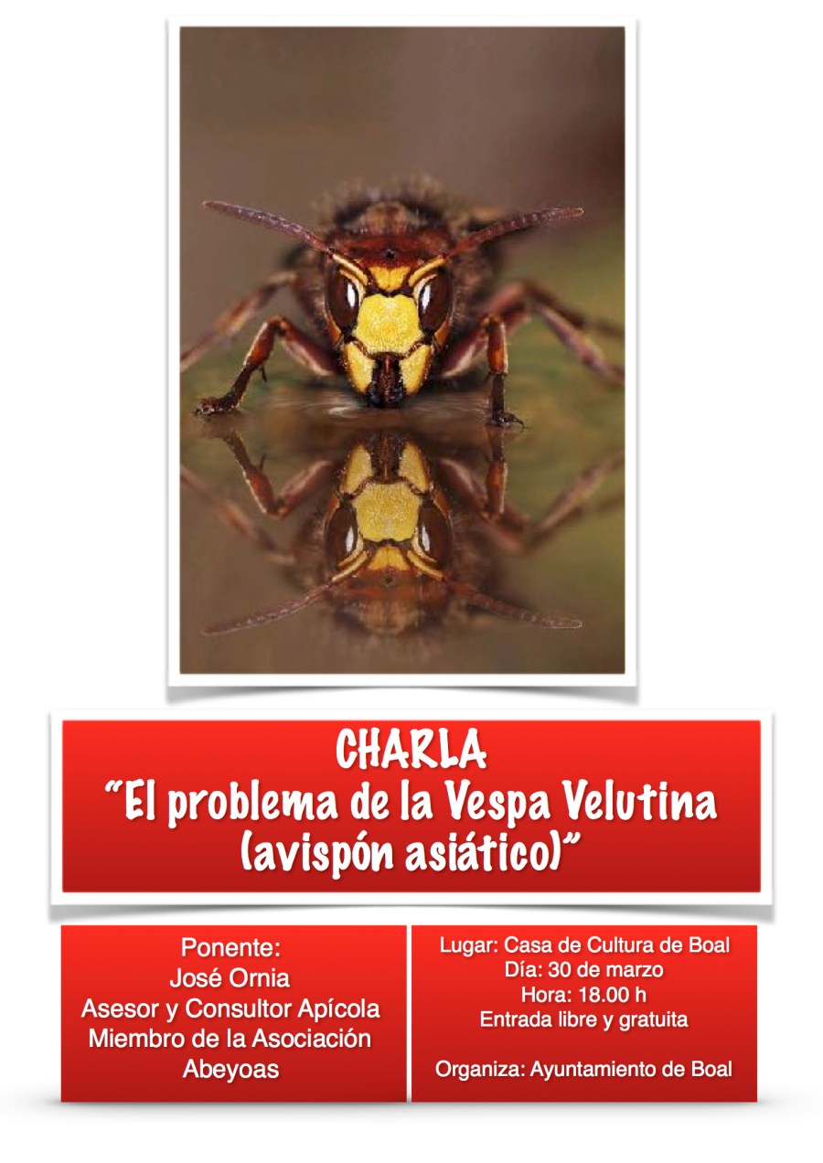 cartel velutina